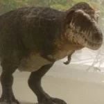 T-Rex AccurateVocals Short