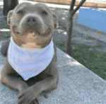 hello my son welcome to heaven