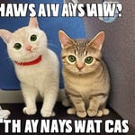 um am maan you gota chil suwi - Sound