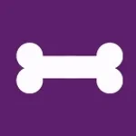 Bone Crack Sound Effect (copy)