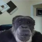 NADA SADA by jheffing