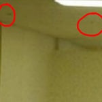 The blood that is pumping