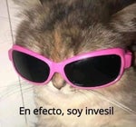 callese el hocico chamaco pedorro