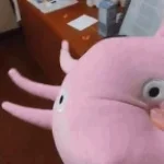 yo bruh install kinito pet