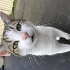 Broken mic ahh sounds