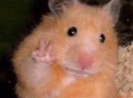 Roblox Bye Sound Effect