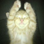 Travis Scott 90210 sped up (Tiktok Version)