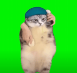 cat dance girlfriend