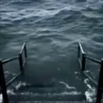 Ocean meme sound (copy)