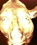 Noluyo lan, lan noluyo lan Ümidi - Sound