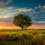 If You Care akiaura (slowed + reverb)