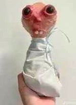 Player 456 strategy (everybody listen up)