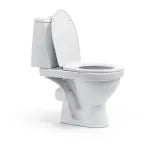 the scream in the public restroom