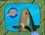 Okay breaking news fish