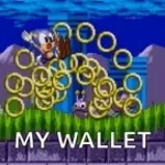 Smacked the sonic coins out of him