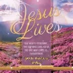 where God save lives - Sound