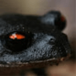 Start Of Queen - Don't Stop Me Now