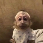 Mighty Morphin Power Rangers Abertura Português BR