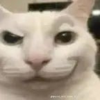 RUBY CHAN! 🚚🚚📢📢💥💥💥 - Sound