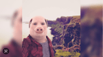 john pork