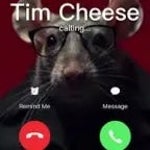 Tim Cheese