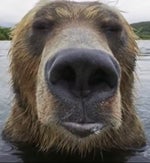 Ididitallbymyselfmommy - Sound