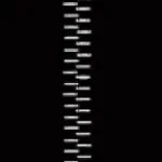 Sticky Fingers zipping SFX