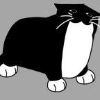 hoi maxwell de kat full loud