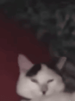 BMW Chime 2019 - Sound