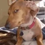 Are you sure