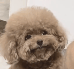 Rugrats Theme Song Intro HQ