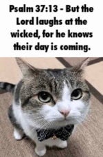 Im awergic to pewple