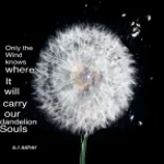 GOLDEN DANDELION FUNK