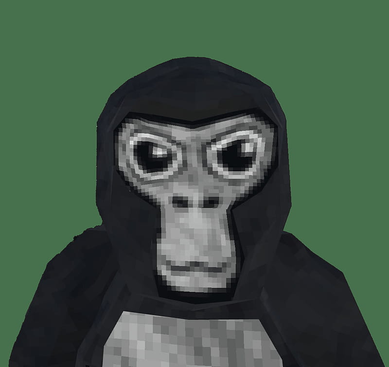 Gorilla Tag Warning Bot Ai by GorillaTagSounds Sound Effect Tuna