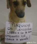 Doja Cat Say So (Official Video)