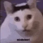 Huh?!
