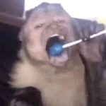 Baby laughing sound effect No Copyright