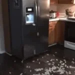 le frigidaire il ma fini ___
