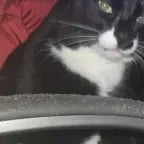 Cest lélectricien 👹#lakaka