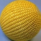 Cornball