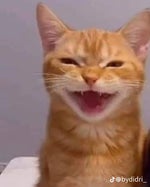 Latvias sound - Sound