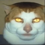 monday left me broken