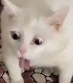 12 Days of Side Effects