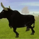 un toro