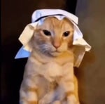 DIPERCHAOS EDAMAME - Sound