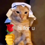 Meow ;)