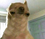 ooooooo ahhhhhhhh hehehe