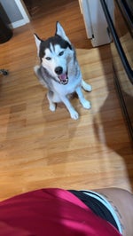 47ACDF37 F8C1 4120 A19B CF6A05A698B5