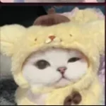 ia tornada in pula mea bas