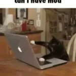 Ich hatt einen Kameraden